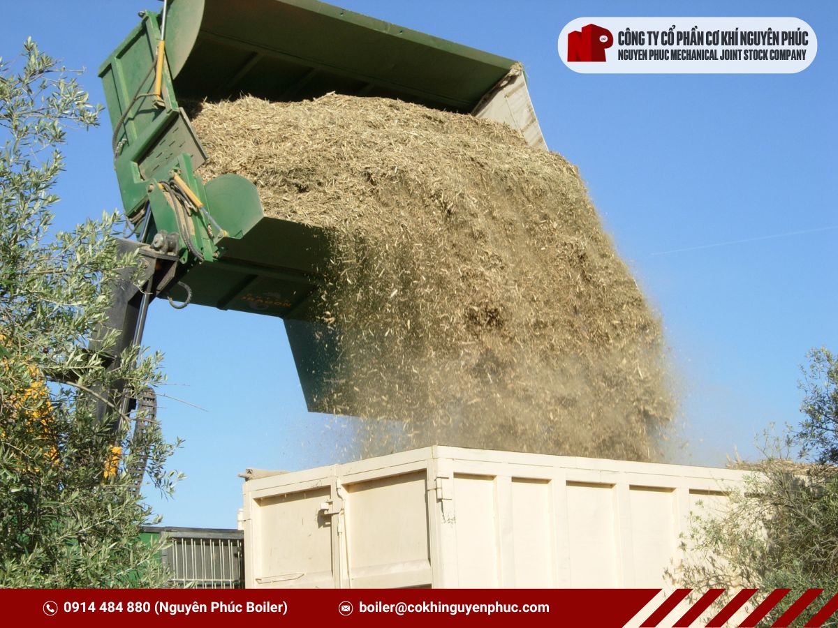 trấu sử dụng cho lò hơi đốt biomass